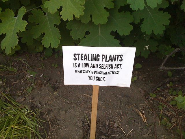 morning picdump 58 pics 17.html - 58 HD Photos | Premium Gallery 2014