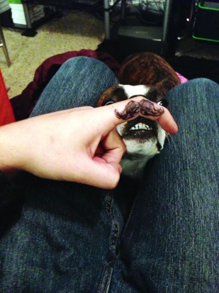 morning picdump 58 pics 17.html - 58 HD Photos | Premium Gallery 2014