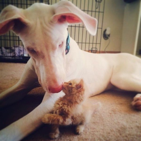 morning picdump 58 pics 17.html - 58 HD Photos | Premium Gallery 2014