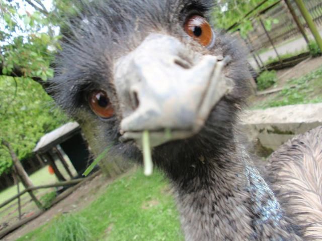 morning picdump 58 pics 17.html - 58 HD Photos | Premium Gallery 2014