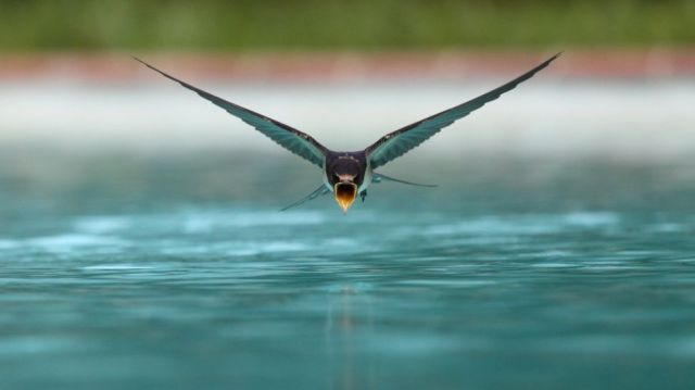 morning picdump 58 pics 28.html - 58 HD Photos | Premium Gallery 2014