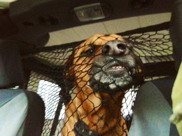 morning picdump 58 pics 28.html - 58 HD Photos | Premium Gallery 2014