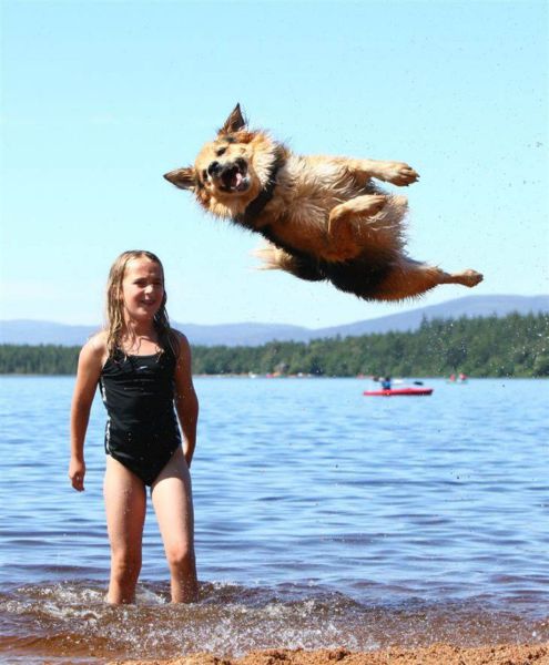 morning picdump 58 pics 28.html - 58 HD Photos | Premium Gallery 2014