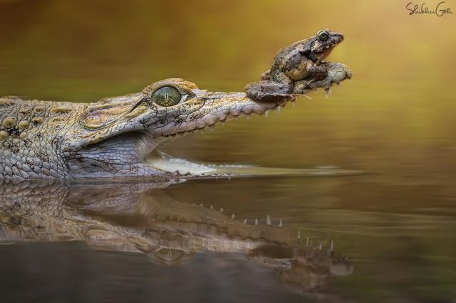 morning picdump 58 pics 28.html - 58 HD Photos | Premium Gallery 2014