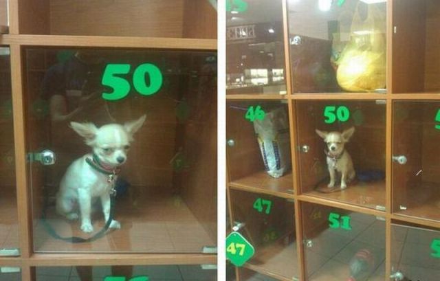 morning picdump 58 pics 28.html - 58 HD Photos | Premium Gallery 2014