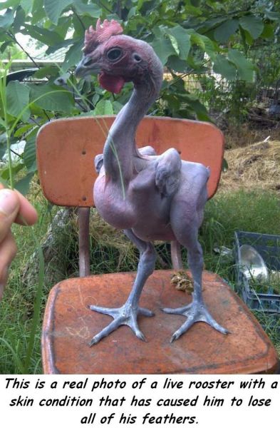 Morning Picdump