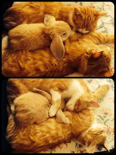 Morning Picdump