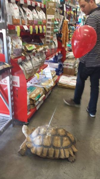 morning picdump 59 pics 1.html - 59 HD Photos | Premium Gallery 2014