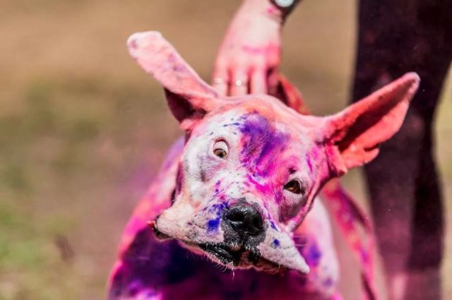 morning picdump 59 pics 1.html - 59 HD Photos | Premium Gallery 2014