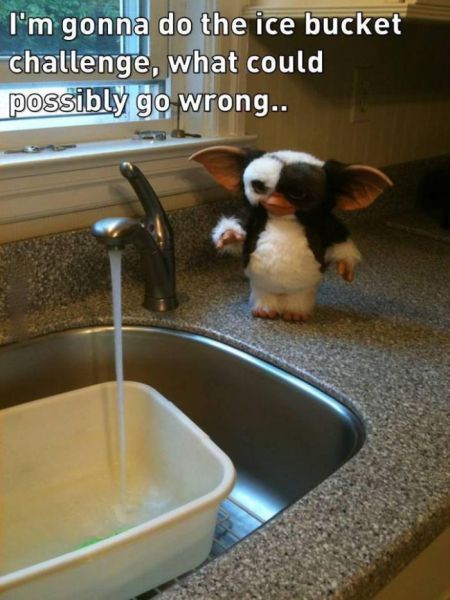 funny picdump 50 pics 3.html - 50 HD Photos | Premium Gallery 2014