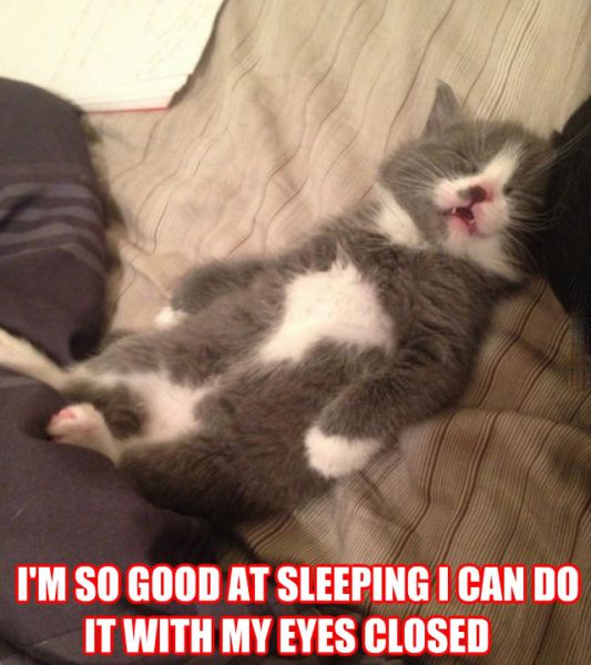 funny picdump 50 pics 3.html - 50 HD Photos | Premium Gallery 2014