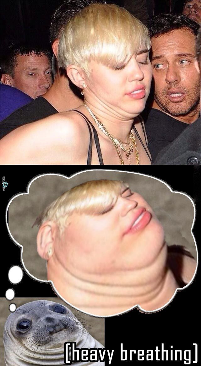 funny picdump 50 pics 3.html - 50 HD Photos | Premium Gallery 2014