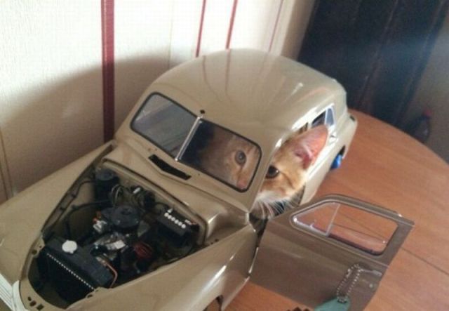 morning picdump 55 pics 13.html - 55 HD Photos | Premium Gallery 2014