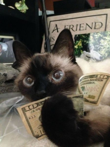 morning picdump 55 pics 13.html - 55 HD Photos | Premium Gallery 2014