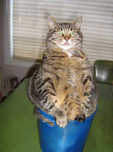 morning picdump 55 pics 13.html - 55 HD Photos | Premium Gallery 2014