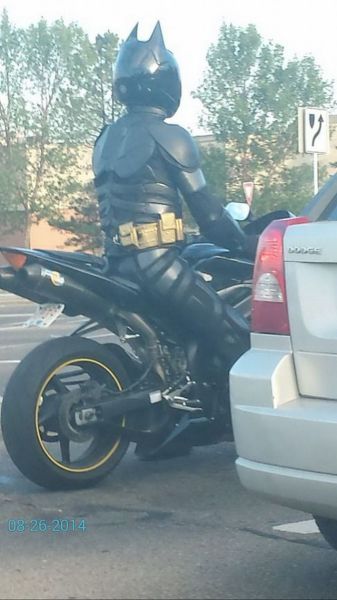 Daily Picdump