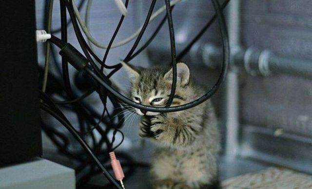 Daily Picdump