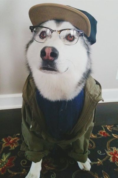 Daily Picdump