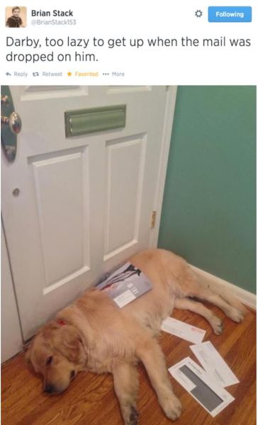 Daily Picdump