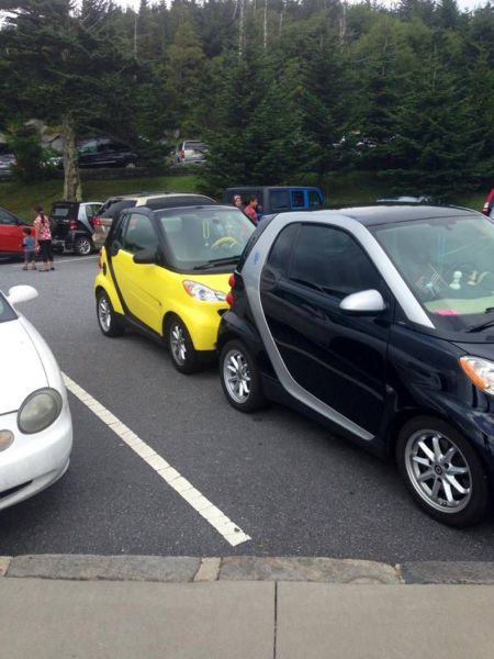 daily picdump 98 pics 44.html - 98 HD Photos | Premium Gallery 2014