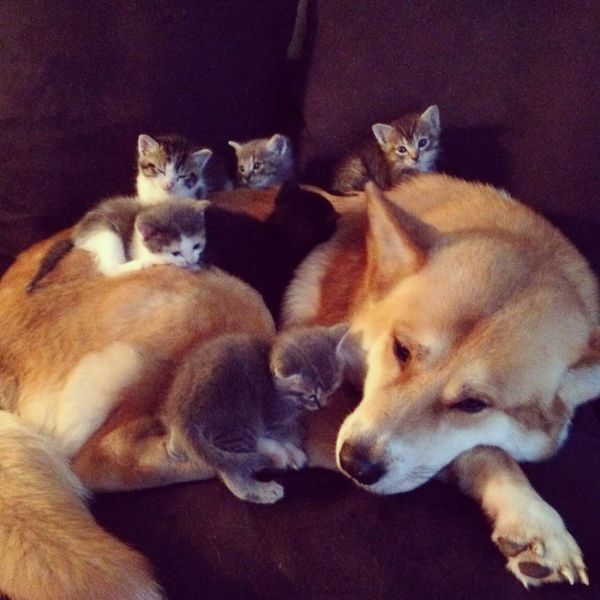 Morning Picdump