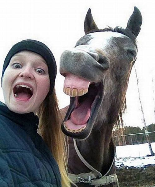 morning picdump 60 pics 17.html - 60 HD Photos | Premium Gallery 2014