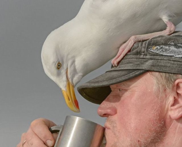 morning picdump 53 pics 1.html - 53 HD Photos | Premium Gallery 2014
