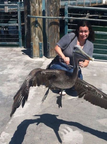 morning picdump 53 pics 1.html - 53 HD Photos | Premium Gallery 2014
