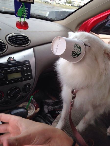 morning picdump 53 pics 1.html - 53 HD Photos | Premium Gallery 2014