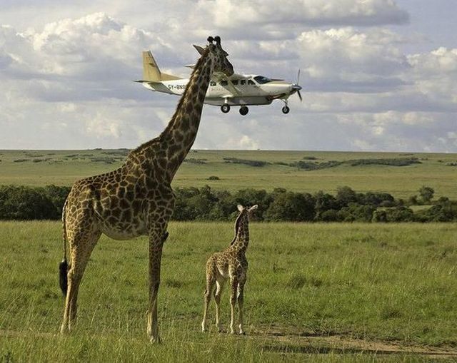 morning picdump 53 pics 1.html - 53 HD Photos | Premium Gallery 2014
