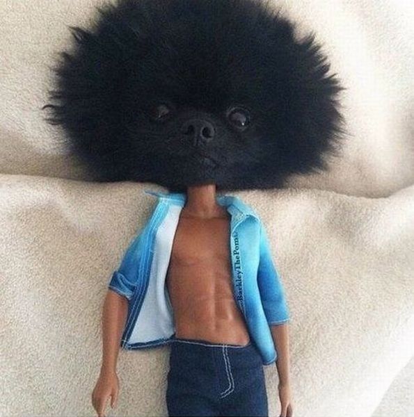 morning picdump 53 pics 1.html - 53 HD Photos | Premium Gallery 2014