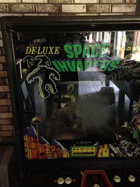 morning picdump 54 pics 25.html - 54 HD Photos | Premium Gallery 2014