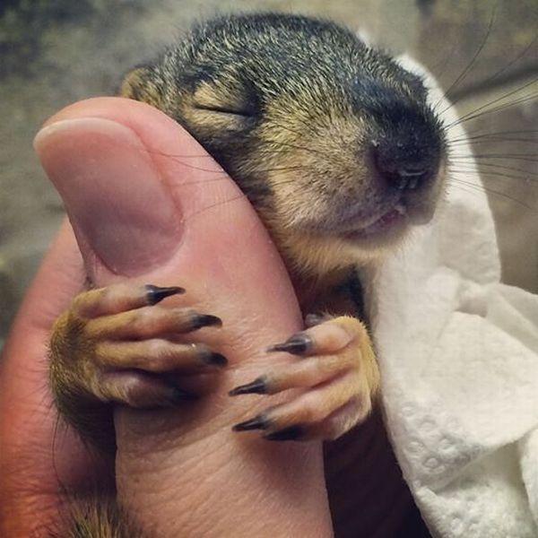Morning Picdump