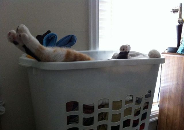 Morning Picdump