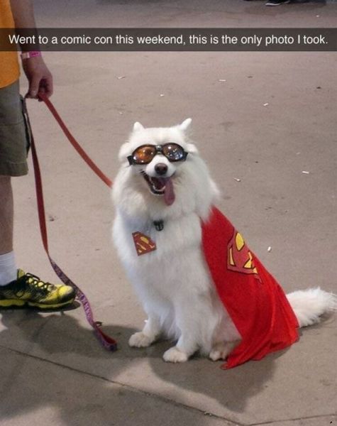 morning picdump 53 pics 20.html - 53 HD Photos | Premium Gallery 2014