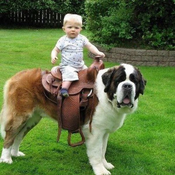 morning picdump 53 pics 20.html - 53 HD Photos | Premium Gallery 2014
