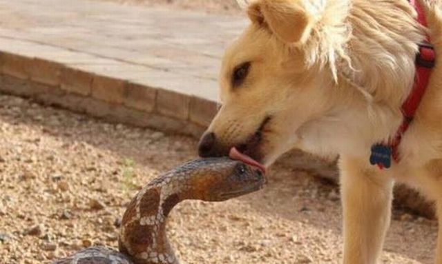 morning picdump 53 pics 20.html - 53 HD Photos | Premium Gallery 2014