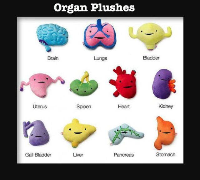 Awesome Stuff You Will Want to Own