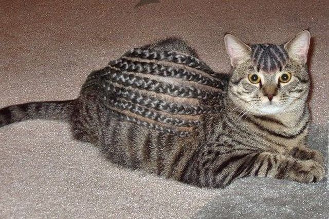 morning picdump 57 pics 22.html - 57 HD Photos | Premium Gallery 2014