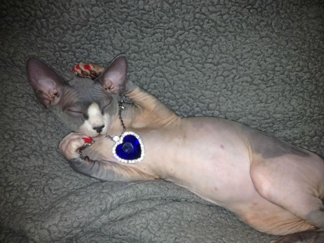 morning picdump 57 pics 22.html - 57 HD Photos | Premium Gallery 2014