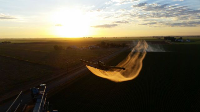 morning picdump 57 pics 22.html - 57 HD Photos | Premium Gallery 2014