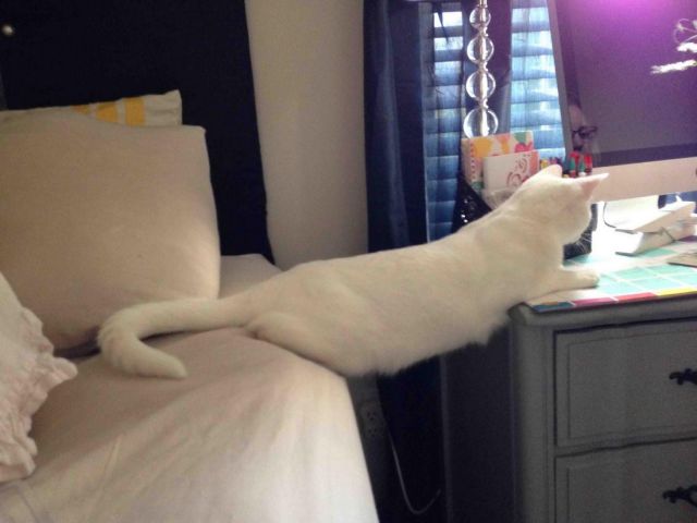 morning picdump 57 pics 22.html - 57 HD Photos | Premium Gallery 2014