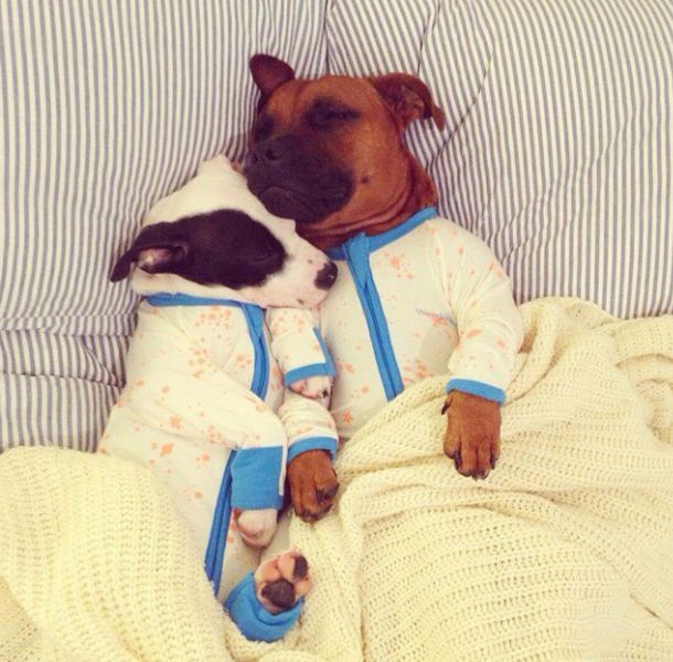 Morning Picdump