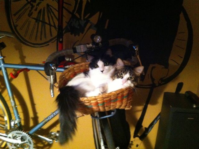 Morning Picdump