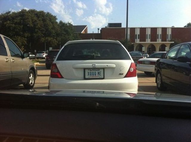 Morning Picdump