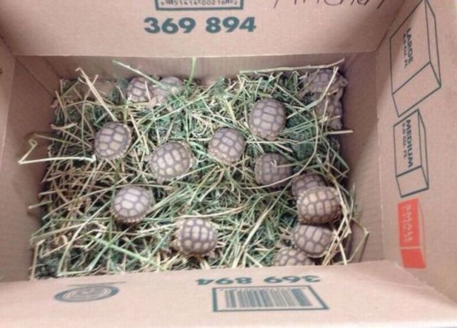 morning picdump 55 pics 20.html - 55 HD Photos | Premium Gallery 2014