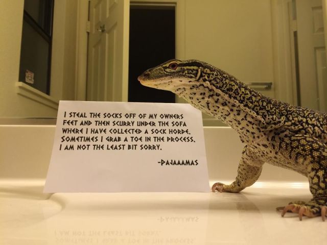 morning picdump 55 pics 20.html - 55 HD Photos | Premium Gallery 2014