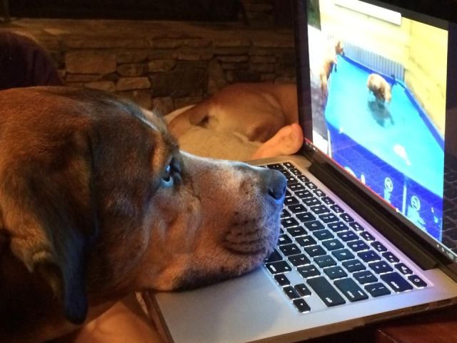 page,8,top 500 morning pics of the year 2014.html - 1 HD Photos | Premium Gallery 2014