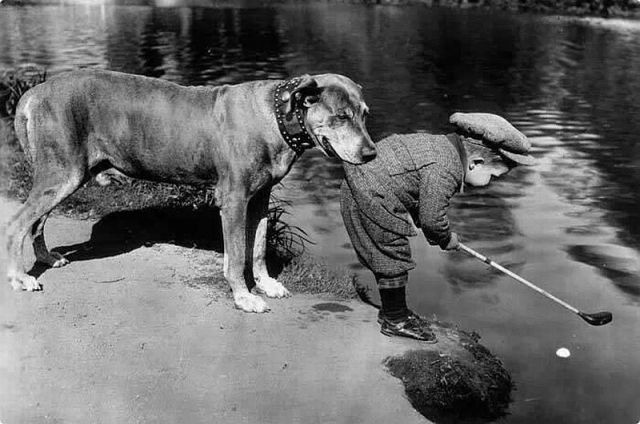 morning picdump 58 pics 17.html - 58 HD Photos | Premium Gallery 2014