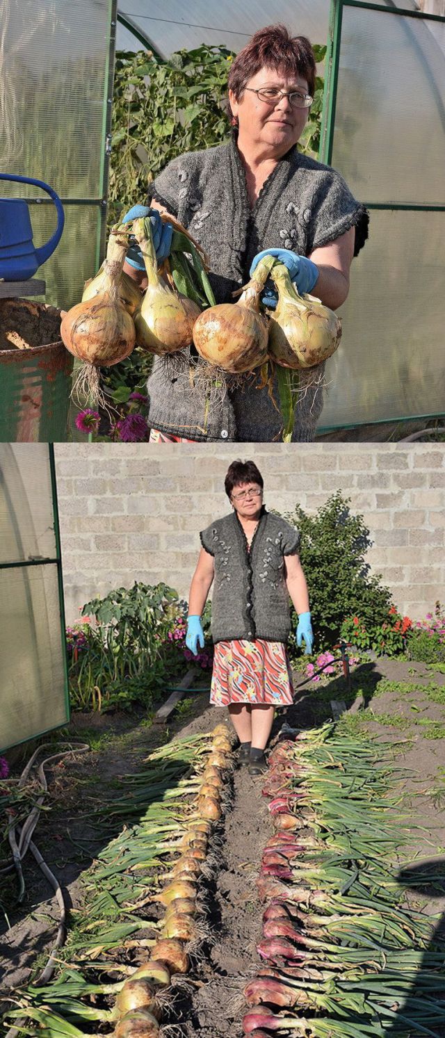 morning picdump 58 pics 17.html - 58 HD Photos | Premium Gallery 2014